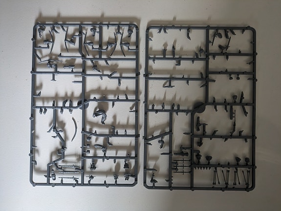 Warhammer empire archers osia + laatikko (harvinainen)