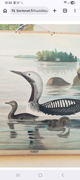 Opetustaulu