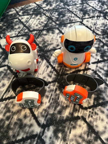 2 pikkurobottia, kello-ohjaimella