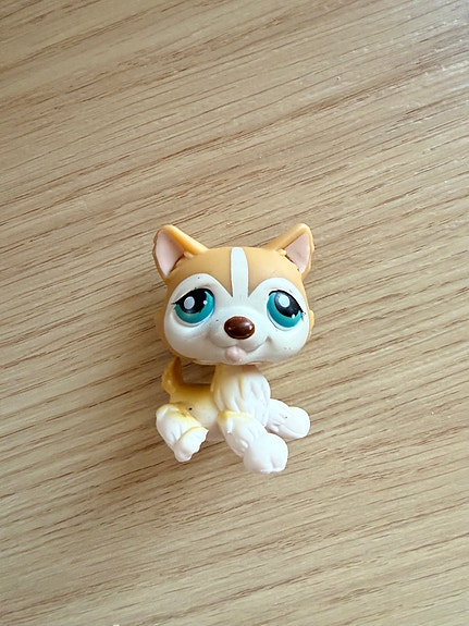 Littlest Pet Shop husky