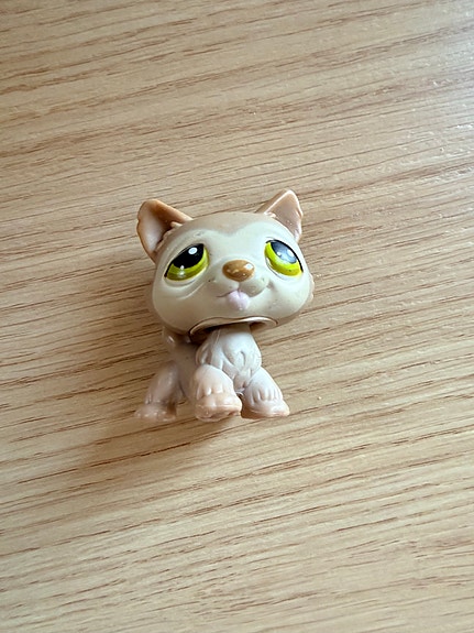 LPS husky