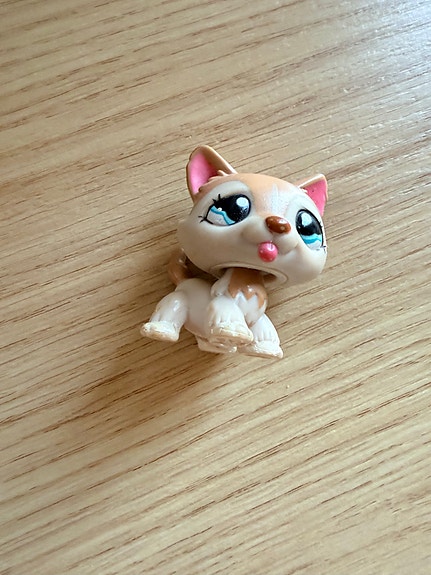 LPS seisova koira