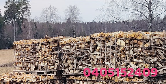 Tuoretta Koivua Heittokuutioissa