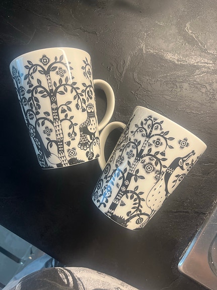 Iittala Taika mukit