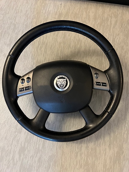 Jaguar Ratti