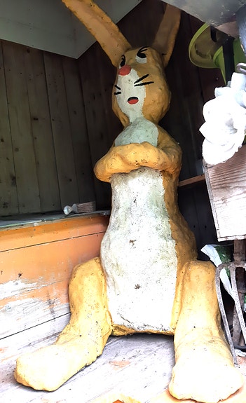 Kani / Nalle Puhin kaveri