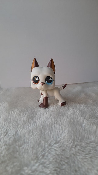 Littlest Pet Shop -tanskandoggi #577