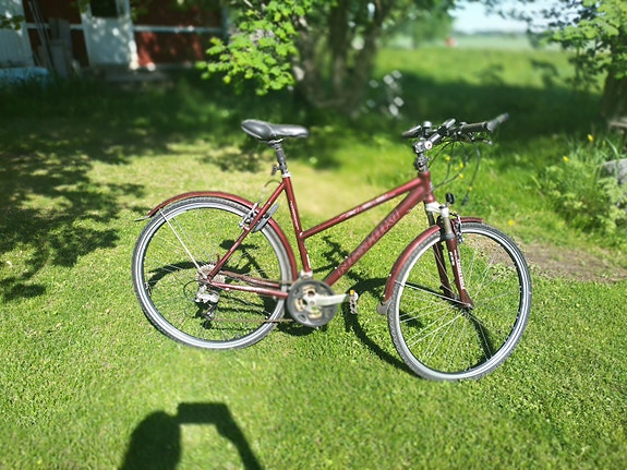 Nishiki naisten hybridipyörä 28" M viininpunainen