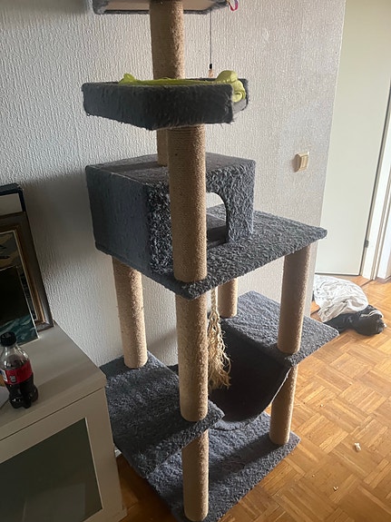 Harmaa kiipeilypuu kissalle
