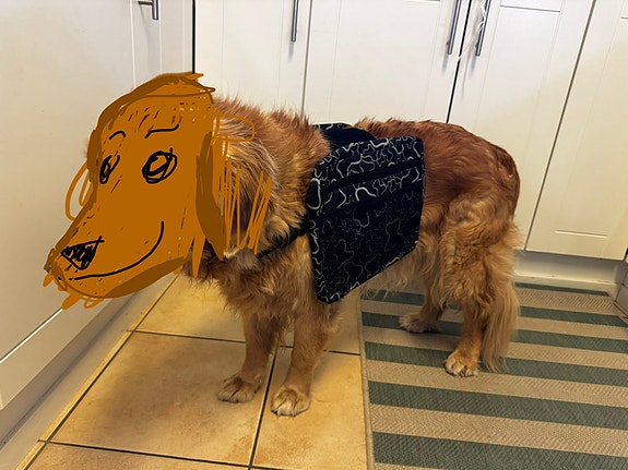 koiran reppu / laukku