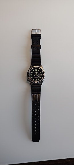 Citizen Promaster miesten rannekello musta