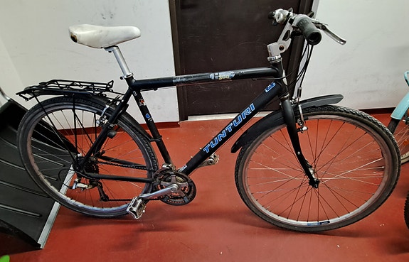 Tunturi Platinum 300 series