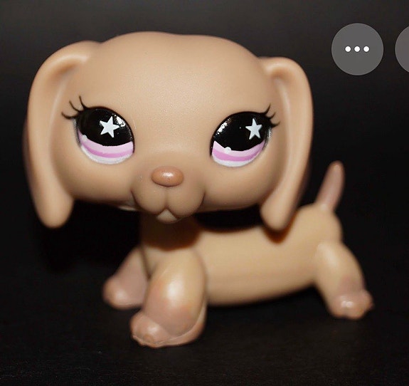 lps mäyräkoira