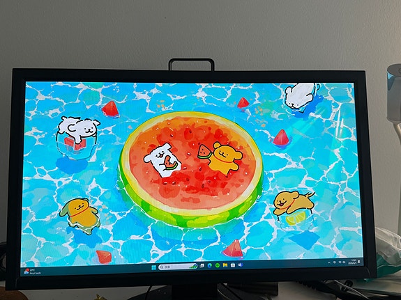 Zowie monitor