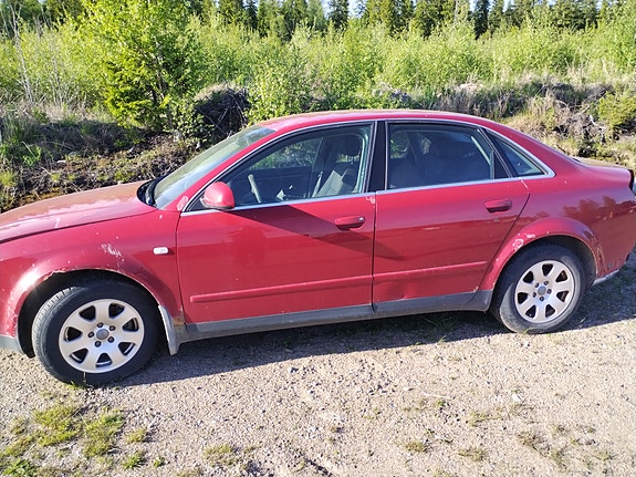 Audi A4 osina