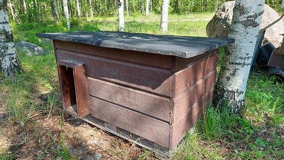 Eristetty koirankoppi