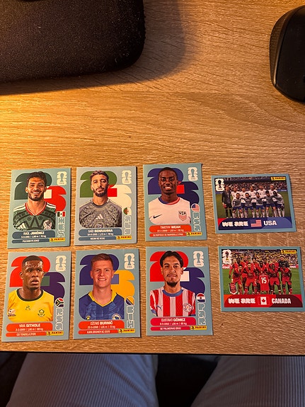 Panini Fifa World Cup 2026