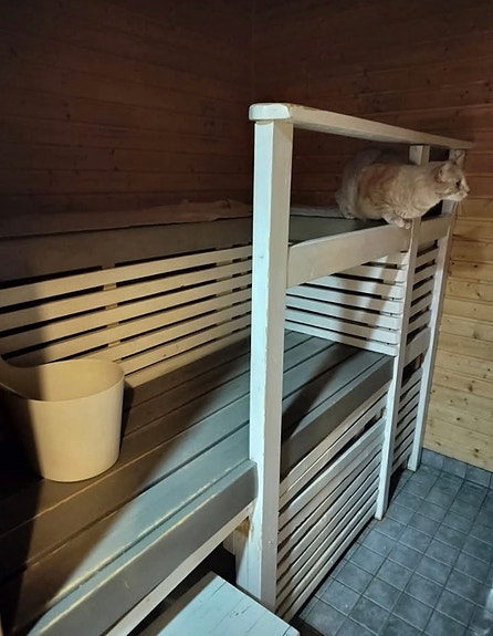 VARATTU Saunan lauteet