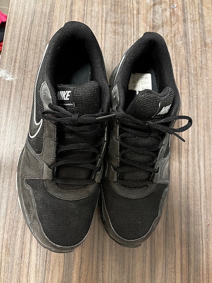 Nike Airflex Trainer