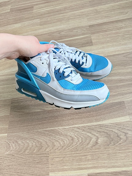 Nike Air Max 90 flyease