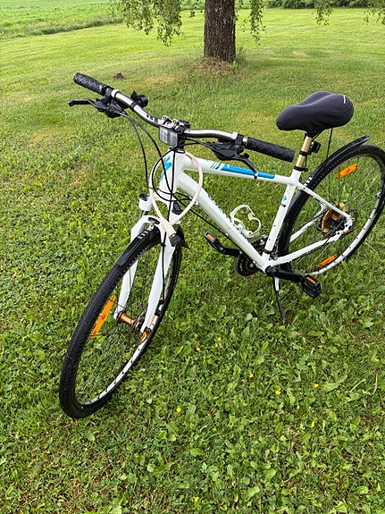 Specialized Ariel