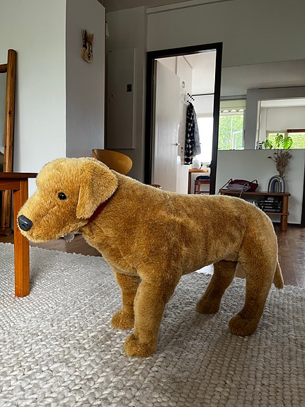 Iso koira pehmolelu