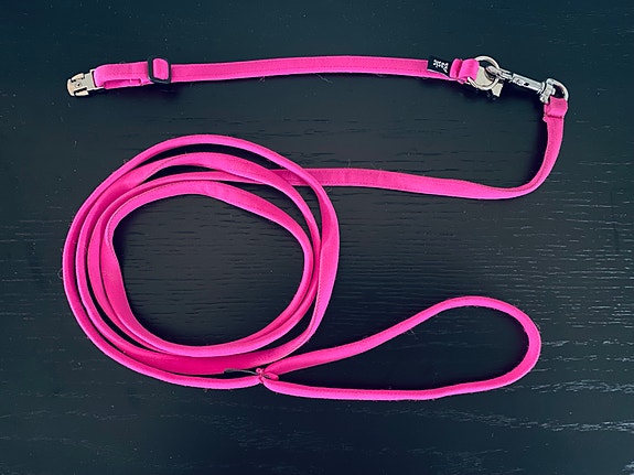 Pinkki kaulapanta ja remmi koiranpennulle