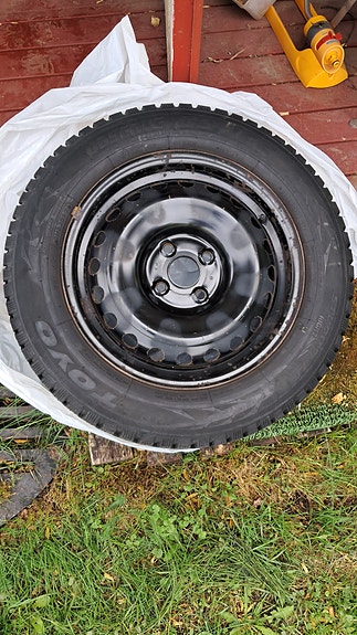 Toyo nastarenkaat