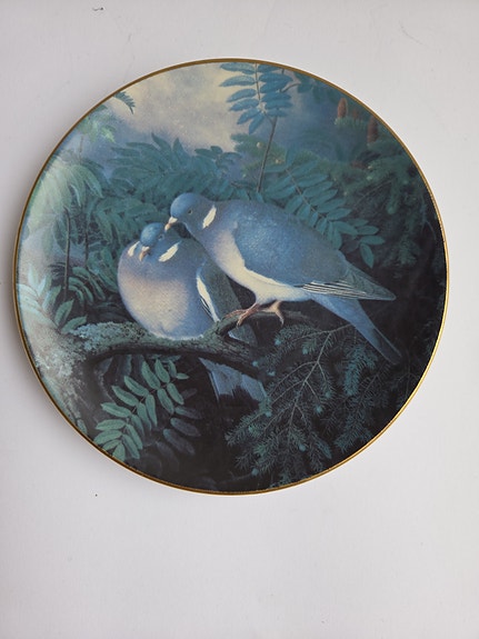 Von Wright seinälautanen Sepelkyyhkypari