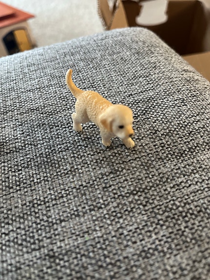Schleich kultainennoutaja pentu