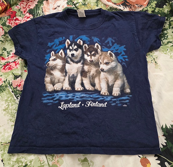 Fruit of the Loom 116 cm husky T-paita