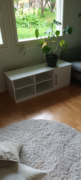Valkoinen tv-taso