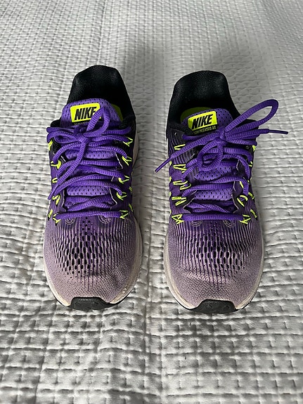 Nike zoom pegasus