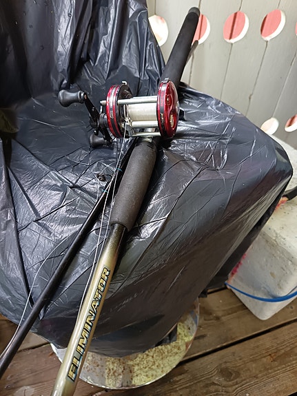 Abu Garcia Ambassadeur 6000 hyrräkela ja Daiwan Eliminator vapa