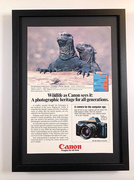Framed 1985 Vintage Canon T70 Camera Original Magazine Advertisement