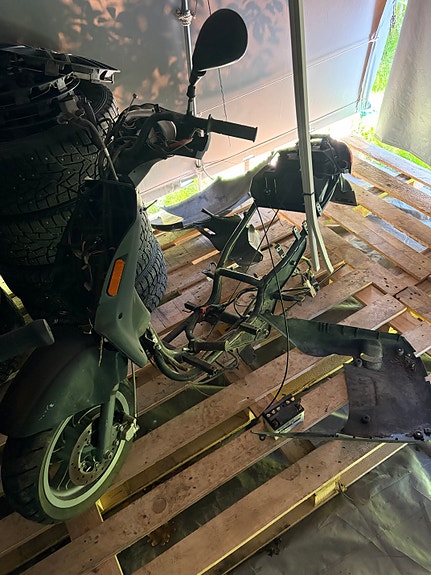 Derbi atlantis osia