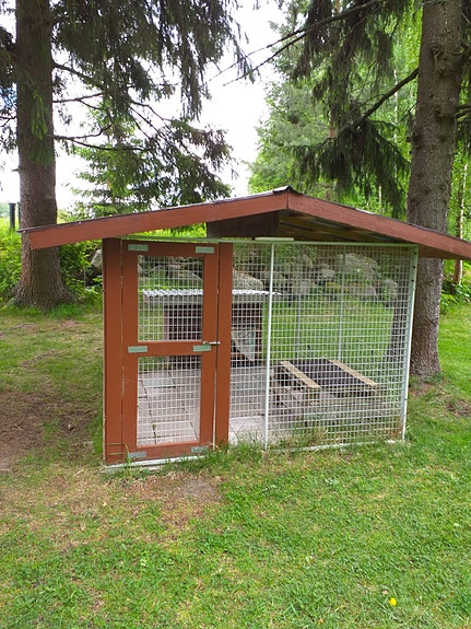 Koirahäkki
