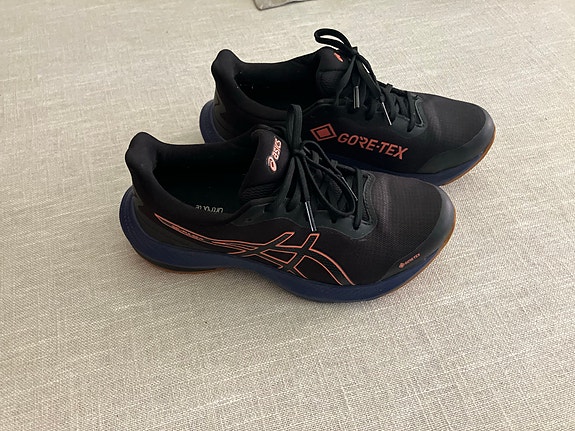Naisten Asics Gel Pulse 14 GTX