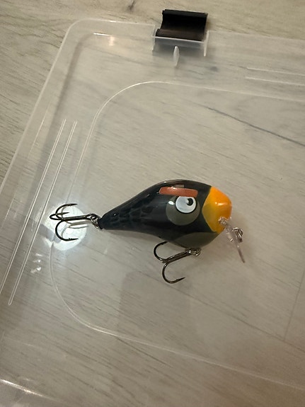 Rapala Angry Bird