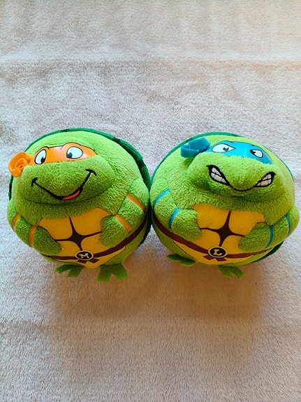 Tmnt setti