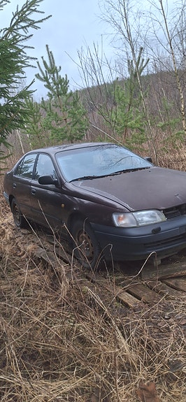 Toyota carina e osina