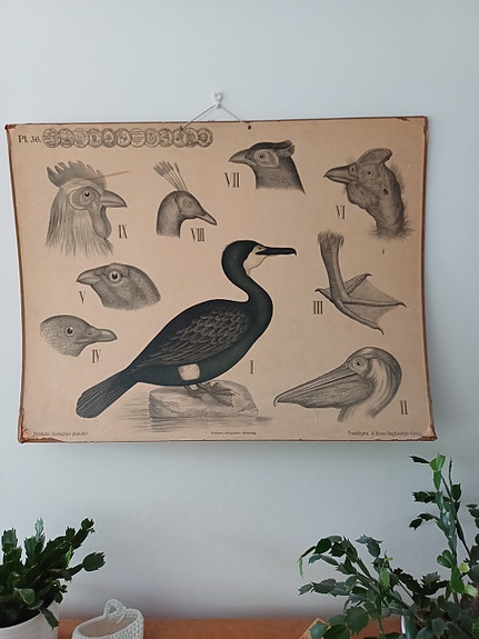 Vanha opetustaulu