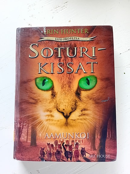 Soturikissat, Aamunkoi