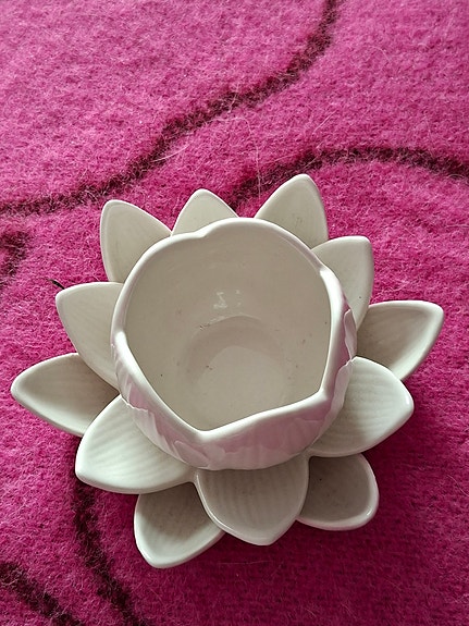 Lotus tuikkuvotiivi