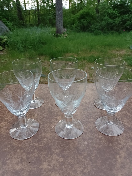 Iittala Kukkahovi viinilasit 6 kpl. Göran Hongell