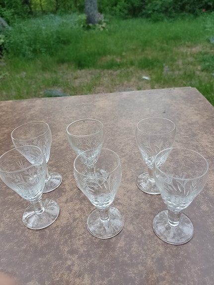Iittala Kukkahovi snapsilasit 6kpl. Göran Hongell