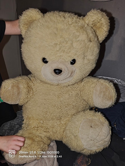 Nalle myynnissä halpaan