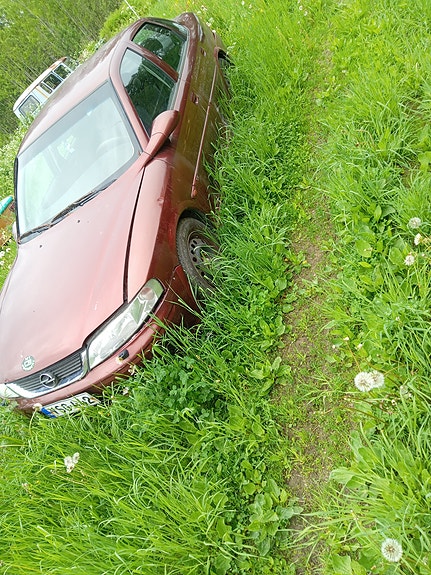 Opel vectra