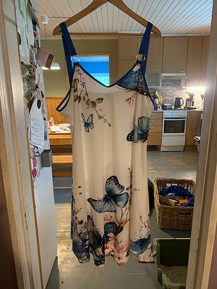 Kesämekko