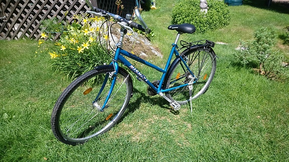 Nishiki Hybrid